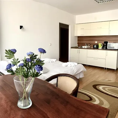 Ξενοδοχείο Zorilor